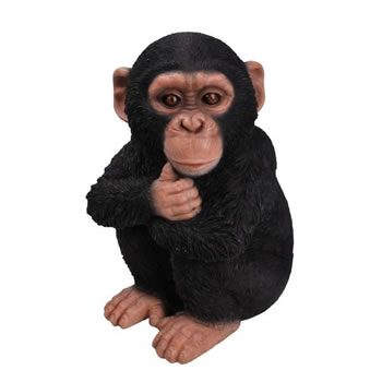 Image of Vivid Arts Real Life Baby Chimpanzee XRL-CHM2-D