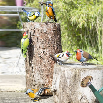 Image of 6 Assorted British Birds Garden Ornaments