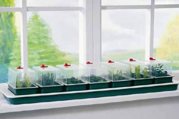 Image of Garland Super 7 Self-Watering Windowsill Seed Propagator