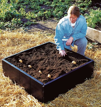 Image of Garland Raised Grow Bed - 3ft x 3ft