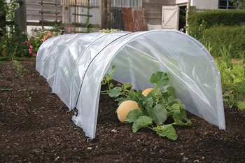 Image of Haxnicks Giant Easy Polytunnel Cloche