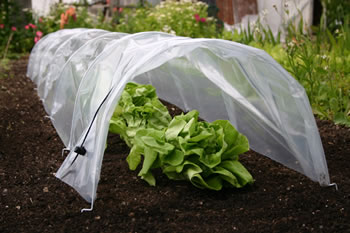 Image of 3 x Haxnicks Easy Poly Tunnel: Ready Assembled