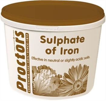 Image of 5kg tub of Proctors Sulphate of iron for Moss and weed control on lawns grass