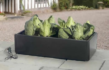 Image of Mini Raised Bed - Special Offer Pack of 2