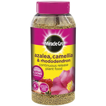Image of Miracle-Gro Azalea, Camellia & Rhododendron Continuous Release Plant Food - 1kg (018952)