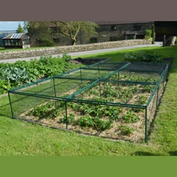 Small Image of Deluxe Strawberry Cage 46cm x 244cm x 914cm with Butterfly Netting