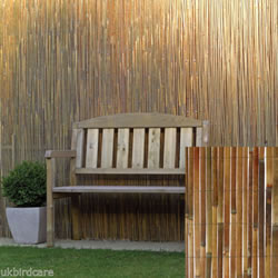 Small Image of 2m tall x 3m long Split Bamboo Screening