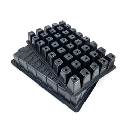 Extra image of Nutley's Seed Tray With 40 Cell Insert - Tray: Without Holes - Pack Quantity: 3