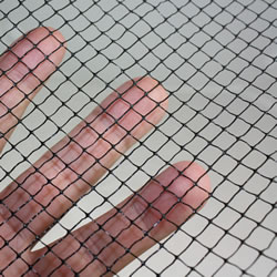 Small Image of Standard Vegetable Cage 122cm x 122cm x 183cm with Butterfly Netting