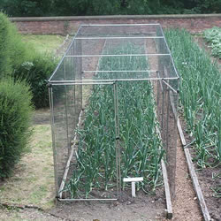 Small Image of Standard Fruit Cage 183cm high x 549cm wide x 732cm long