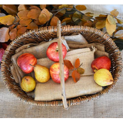 Extra image of Nutley's Medium Beautiful Hand-Made Rustic Willow Garden Trug Basket