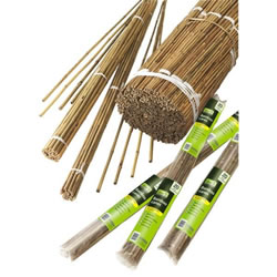 Small Image of Gardman 120cm Pre-Bulk Bamboo Canes (Pack of 20) (08071)