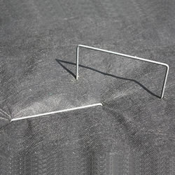 Small Image of Galvanised Fabric Staples - Pack 12