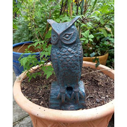 Small Image of Long Eared Owl Garden Sculpture Decor Outdoor Figurine