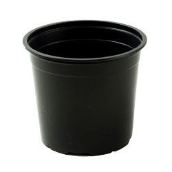 Extra image of Nutley's Mixed 9cm and 13cm Round Plastic Pots Duo (25 of Each)