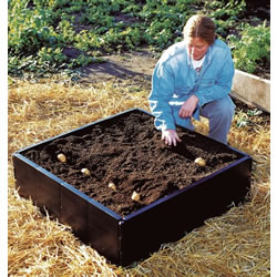 Small Image of Garland Raised Grow Bed - 3ft x 3ft