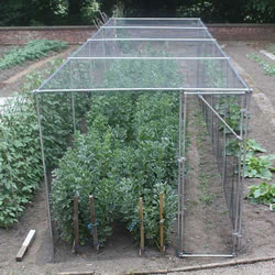 Small Image of Heavy Duty Fruit Cage 213cm high x 731cm wide x 488cm long with Bird Netting
