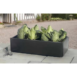 Small Image of Mini Raised Bed - Special Offer Pack of 2