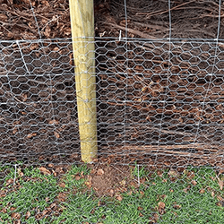 Extra image of 50m roll of rabbit wire netting - 1.05m tall, 31mm mesh