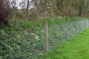 Image of 50m roll of L8/80/15 wire fence