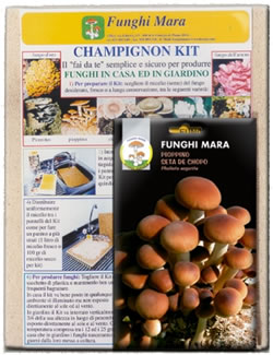 Mushroom Growing Kit