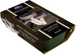 Exotic Mushroom Growing Kits - Grey Oyster
