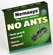 Nemasys No Ants