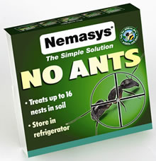 Nemasys No Ants