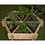 Medium Softwood Herb Wheel