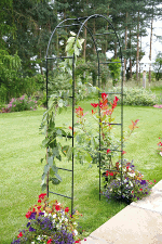 Bronte Garden Arch