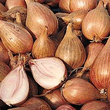 Shallot Sets - Jermor (Autumn Planting)