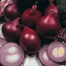 50 Onion Sets - Red Baron (Spring Planting)