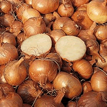 Onion Sets - Shallot Golden Gourmet (Spring Planting) - 350g