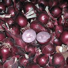 Onion Sets - Shallot Red Sun (Spring Planting) - 350g