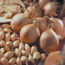 30 Onion Sets - Radar (Autumn Planting)