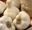 Garlic Bulbs - Allium Sativum (4 Bulbs)