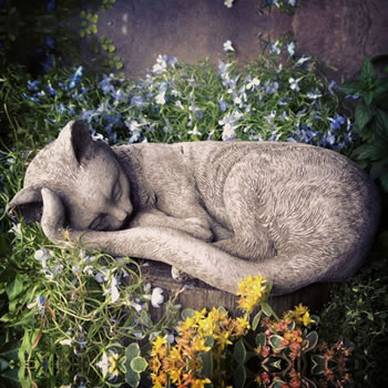 Image of Sleeping Kitten Stone Garden Ornament