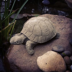 Small Image of Small Stone Tortoise Ornament