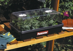 Parasene Fastgrow Electric Propagator - 125