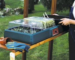 Parasene Three-In-One Propagator