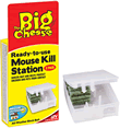Big Cheese Mouse Killer Station