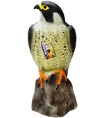Defenders Falcon