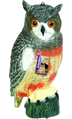Defenders Owl