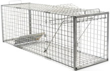Fox Trap, Humane Wire Cage