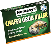 Nemasys Chafer Grub Killer 100sq metres