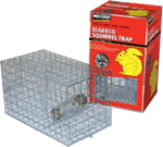 Pest Stop Elgeeco Squirrel Trap With Bird Feeder