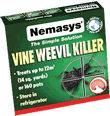 Nemasys Vine Weevil Killer 12sq metres