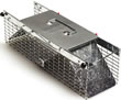 Squirrel Traps, Humane Wire Cage