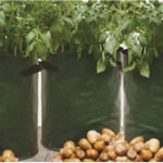 Haxnicks Potato Patio Planter - Pack of 3