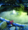 Pond Mystmaker